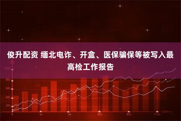 俊升配资 缅北电诈、开盒、医保骗保等被写入最高检工作报告