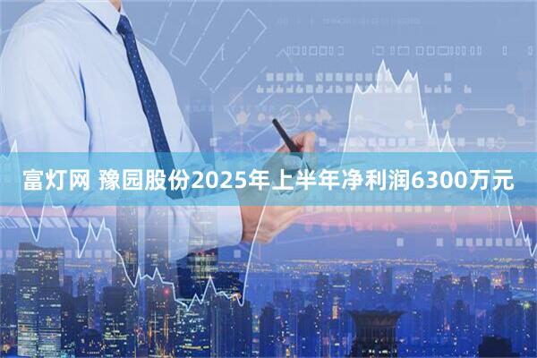 富灯网 豫园股份2025年上半年净利润6300万元