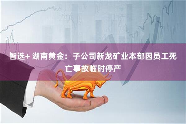 智选+ 湖南黄金：子公司新龙矿业本部因员工死亡事故临时停产