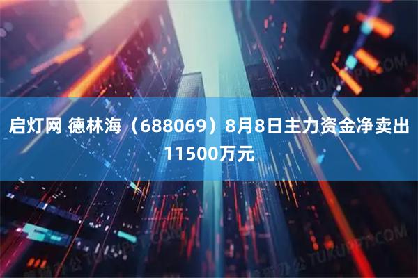 启灯网 德林海（688069）8月8日主力资金净卖出11500万元